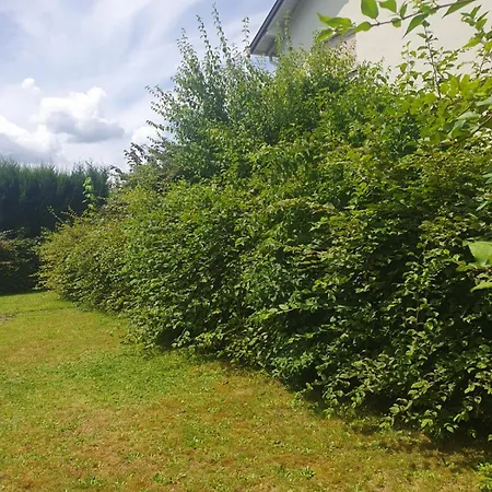 Lovely Private House With Peaceful & Sunny Terrace Vila *