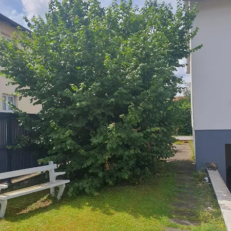 Lovely Private House With Peaceful & Sunny Terrace *